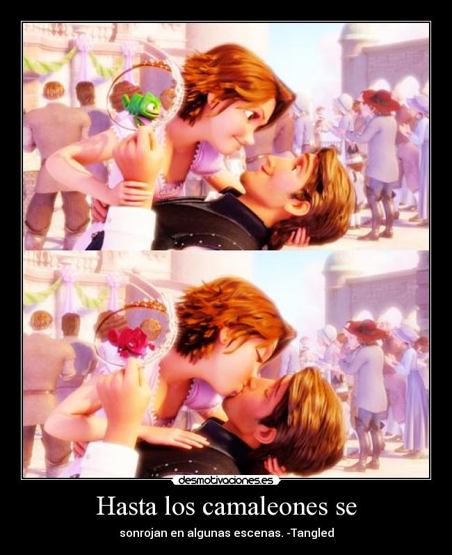 Hasta los camaleones se - sonrojan en algunas escenas. -Tangled