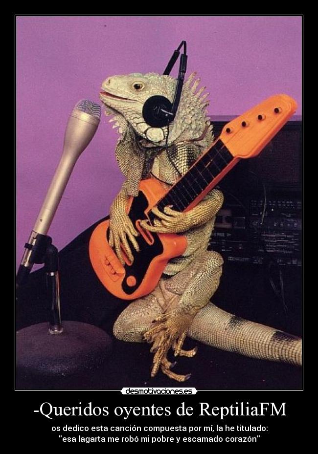 -Queridos oyentes de ReptiliaFM - os dedico esta canción compuesta por mí, la he titulado:
esa lagarta me robó mi pobre y escamado corazón