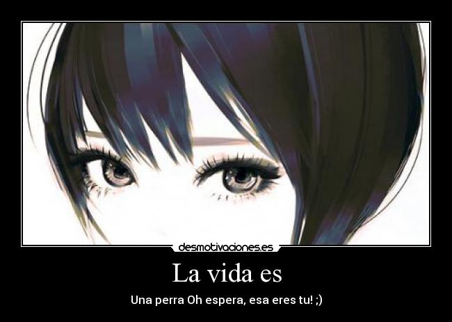 La vida es - 