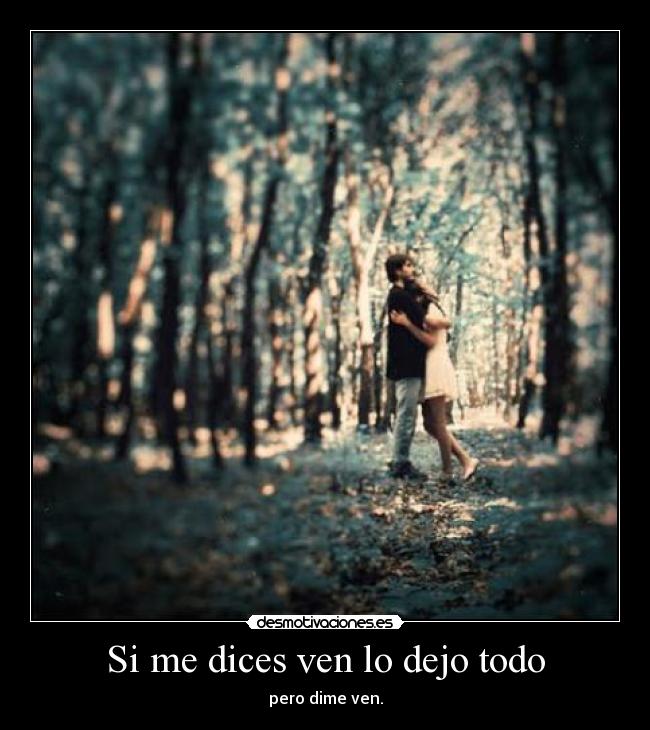 Si me dices ven lo dejo todo - pero dime ven.