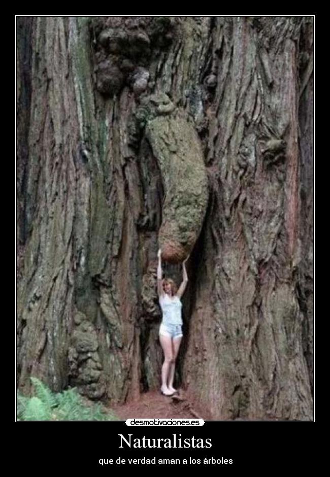carteles naturalistas aman arboles pene escroto fofito desmotivaciones