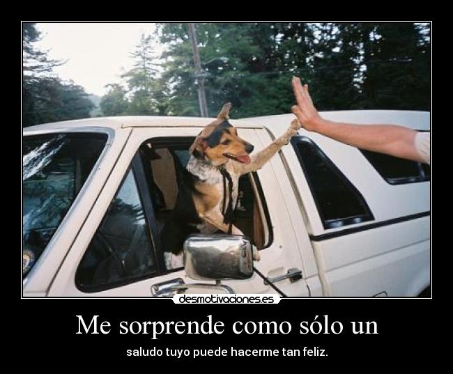 Me sorprende como sólo un - 