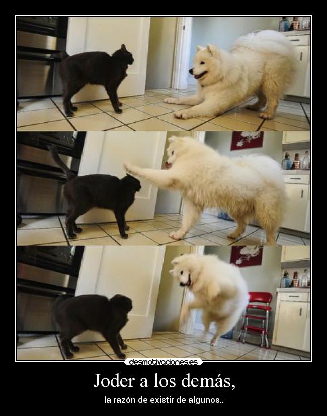 Joder a los demás, - la razón de existir de algunos..