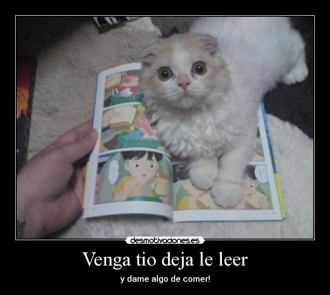 Venga tio deja le leer - y dame algo de comer!