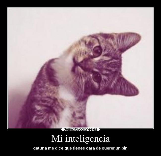 Mi inteligencia - 