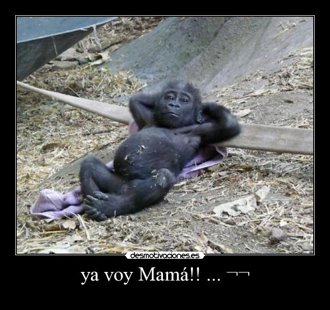 ya voy Mamá!! ... ¬¬ - 