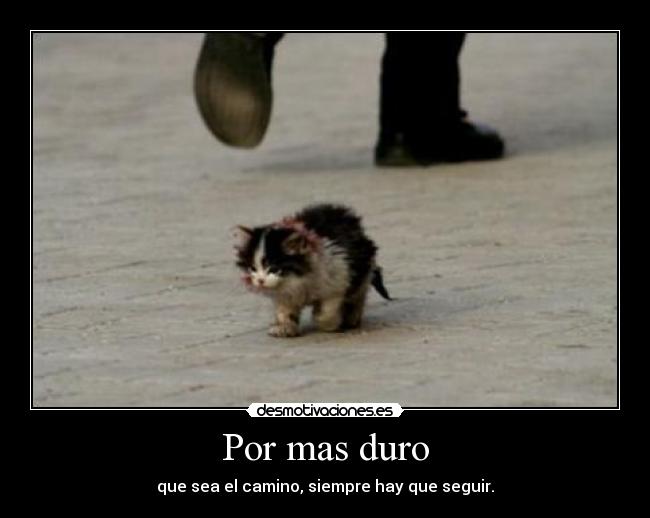 Por mas duro - 