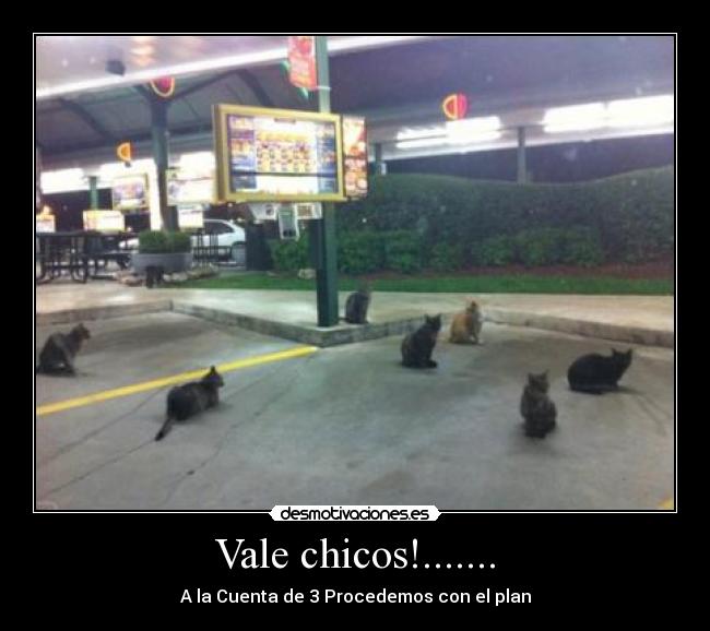 Vale chicos!....... - A la Cuenta de 3 Procedemos con el plan