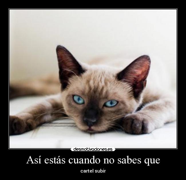 Así estás cuando no sabes que - 