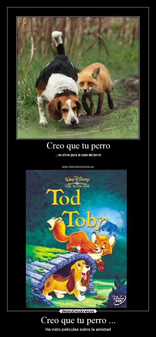 Creo que tu perro ... - Ha visto películas sobre la amistad