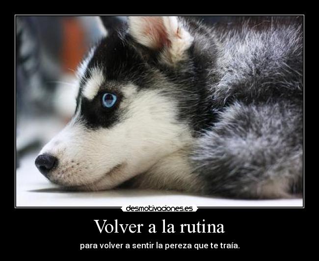 Volver a la rutina - 