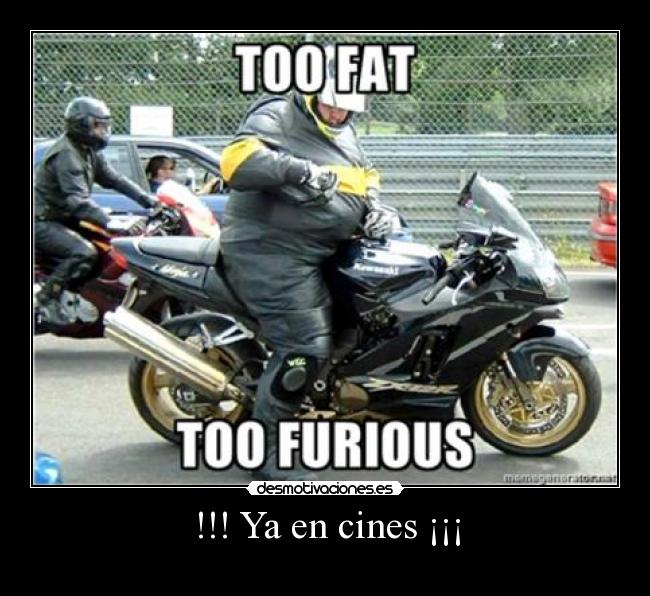 carteles fat too furius desmotivaciones