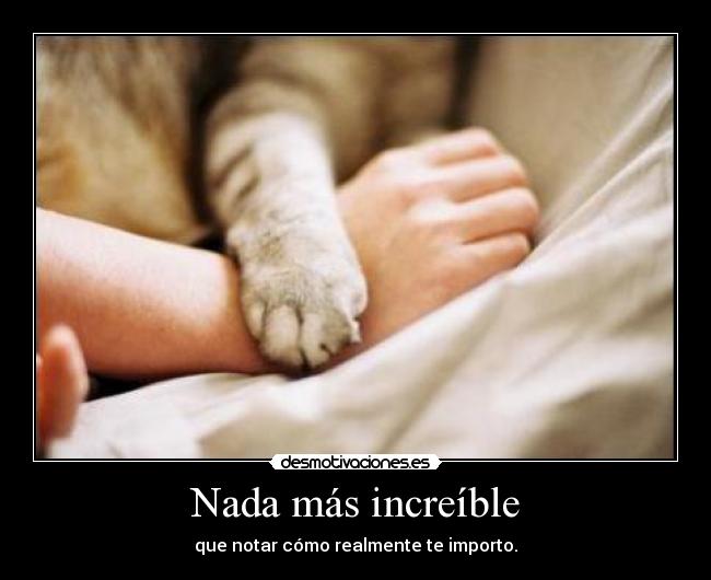 Nada más increíble - que notar cómo realmente te importo.