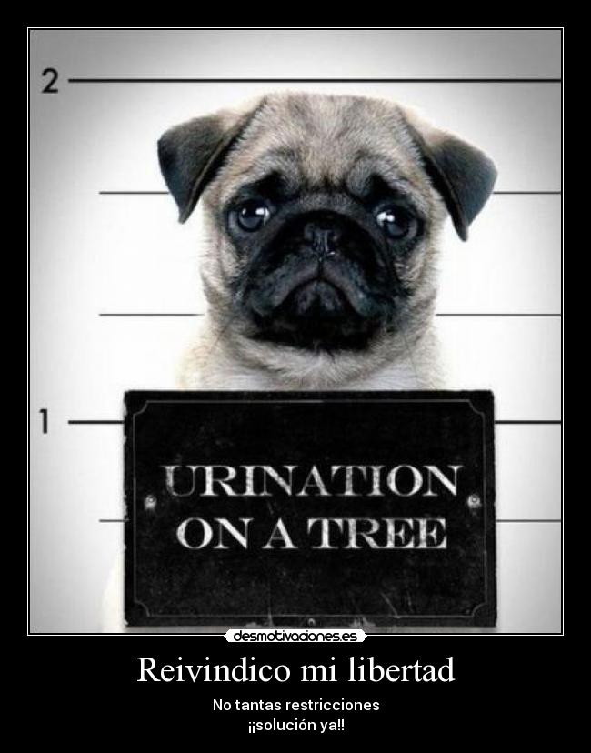 Reivindico mi libertad - No tantas restricciones
¡¡solución ya!!