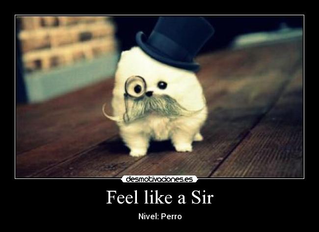 Feel like a Sir -