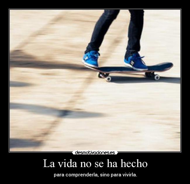 La vida no se ha hecho - 