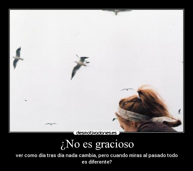 ¿No es gracioso -