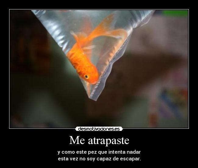 Me atrapaste - 