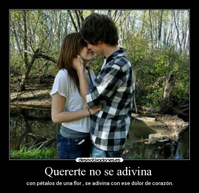 Quererte no se adivina  - con pétalos de una flor , se adivina con ese dolor de corazón.