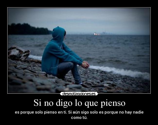 Si no digo lo que pienso -