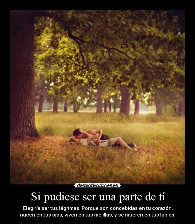 Si pudiese ser una parte de tí - 