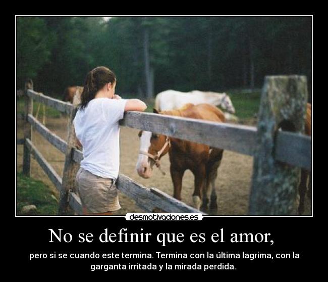 carteles amor definir que amor desmotivaciones