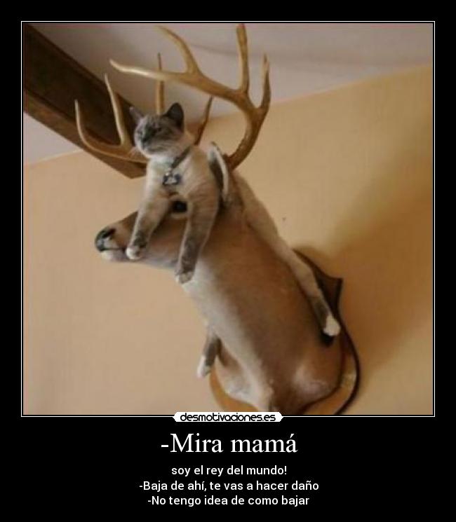 -Mira mamá - soy el rey del mundo!
-Baja de ahí, te vas a hacer daño
-No tengo idea de como bajar