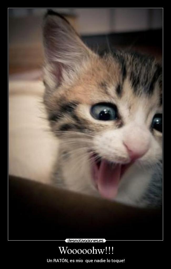 Wooooohw!!! - Un RATÓN, es mio que nadie lo toque!