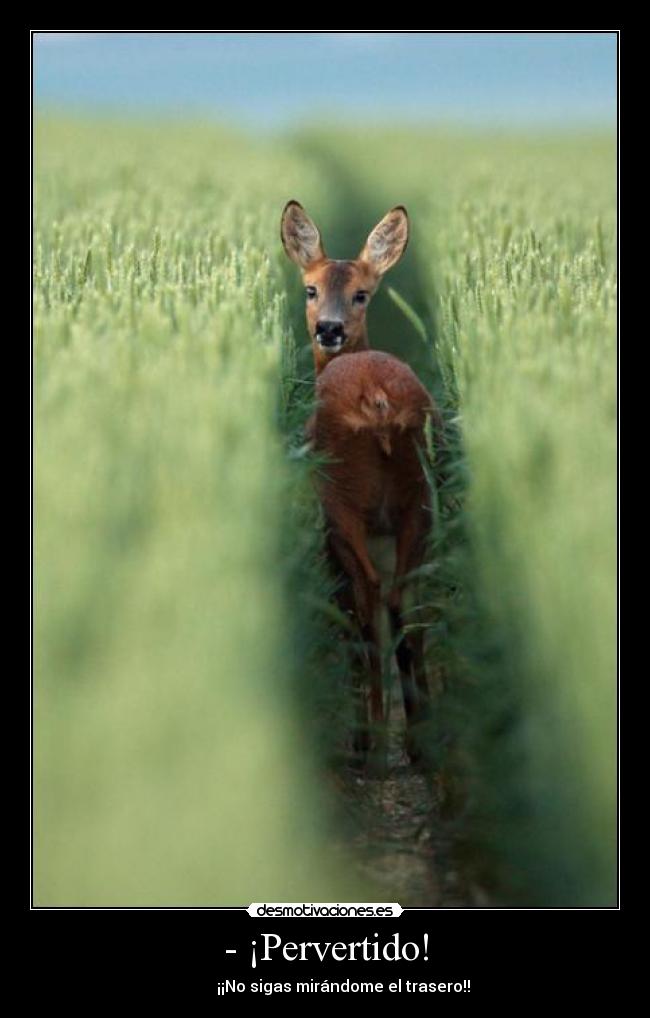 - ¡Pervertido! -