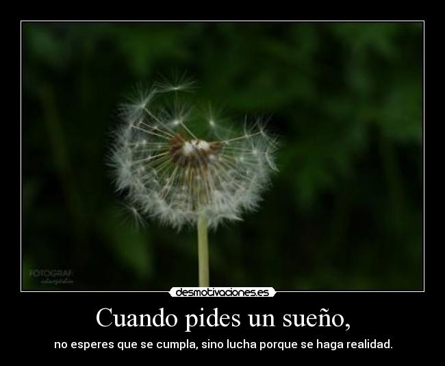 Cuando pides un sueño, - no esperes que se cumpla, sino lucha porque se haga realidad.