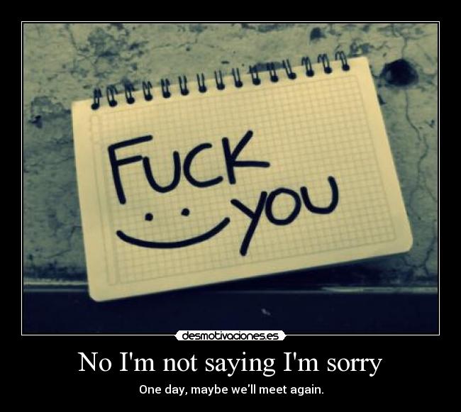 No Im not saying Im sorry - One day, maybe well meet again.