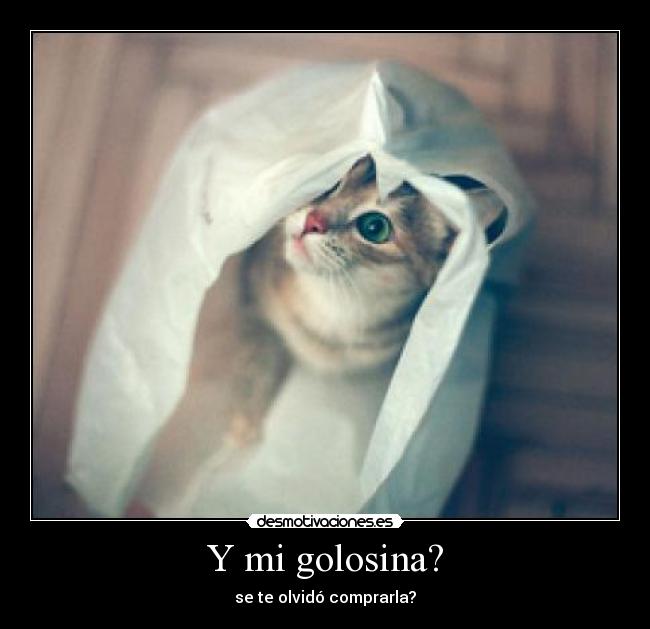 Y mi golosina? - se te olvidó comprarla?