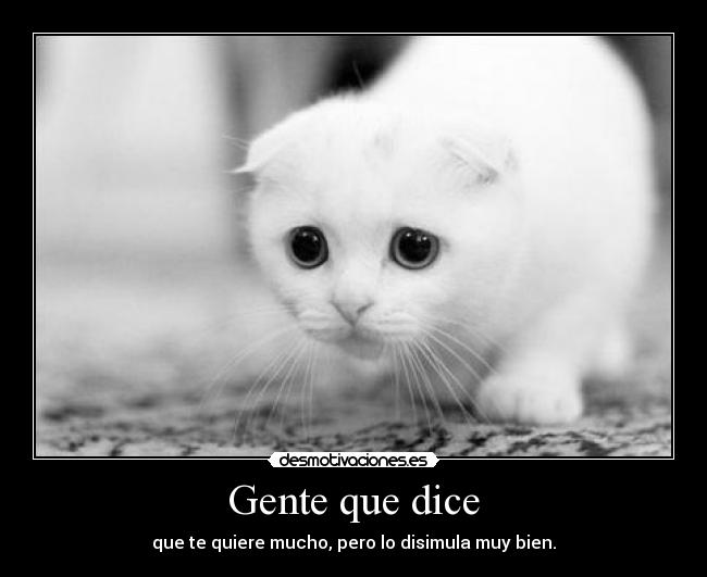 Gente que dice - que te quiere mucho, pero lo disimula muy bien.