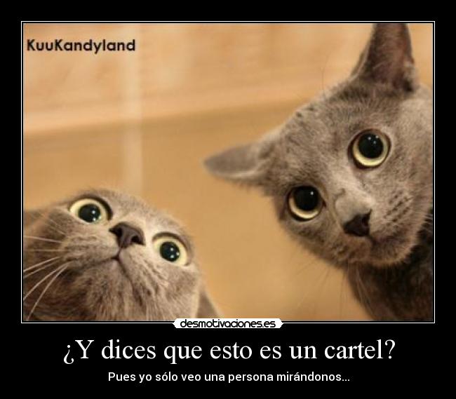 ¿Y dices que esto es un cartel? - Pues yo sólo veo una persona mirándonos...
