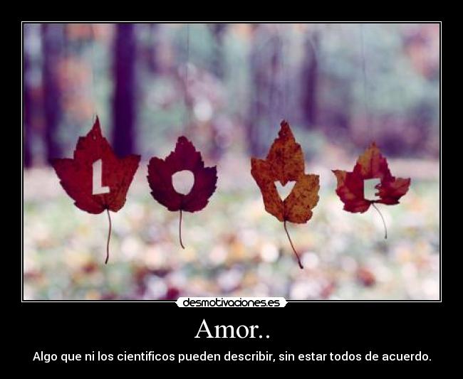 Amor.. - 