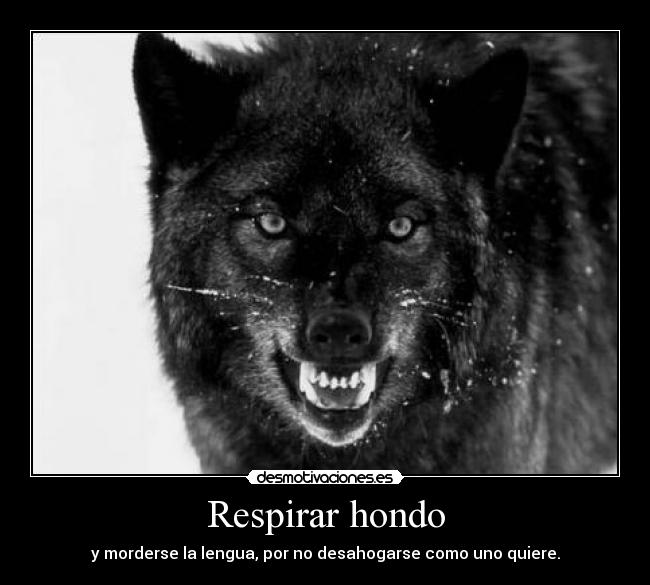 Respirar hondo - y morderse la lengua, por no desahogarse como uno quiere.
