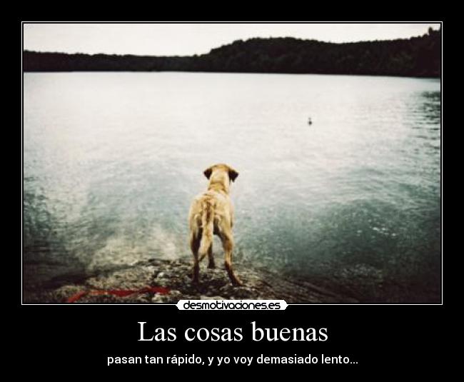 Las cosas buenas -