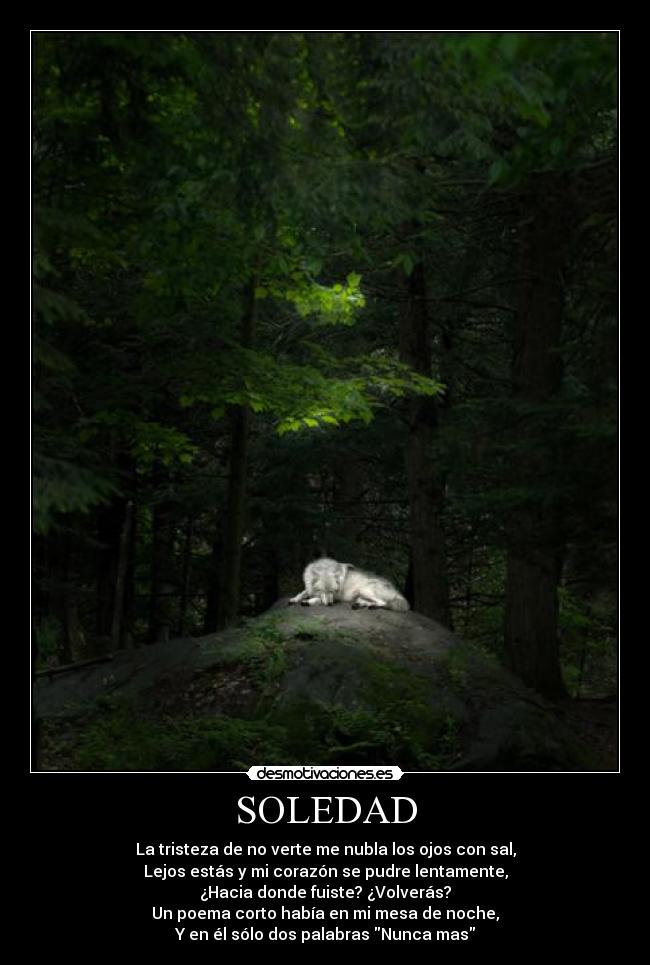SOLEDAD -
