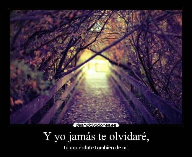 Y yo jamás te olvidaré, - 