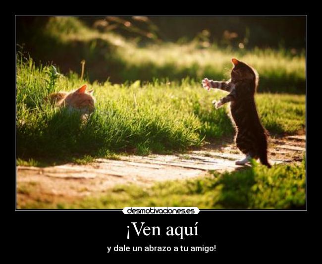 ¡Ven aquí - y dale un abrazo a tu amigo!