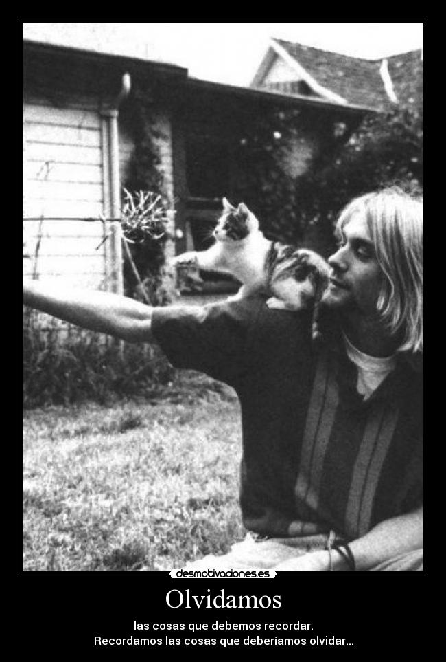 Olvidamos -