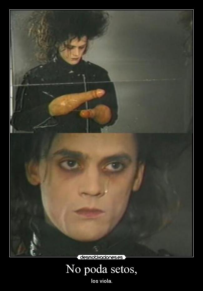 No poda setos, -