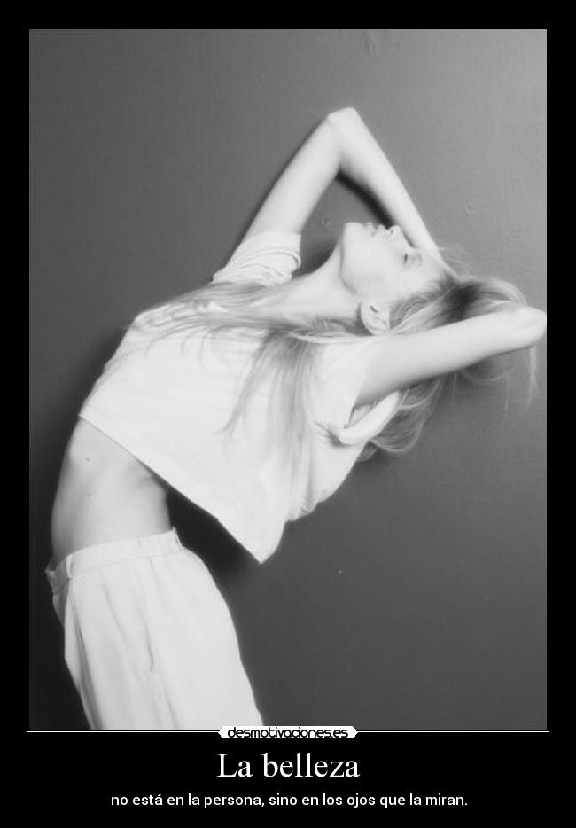 carteles echo menos gatosque murio hace mes despues anos vida desmotivaciones