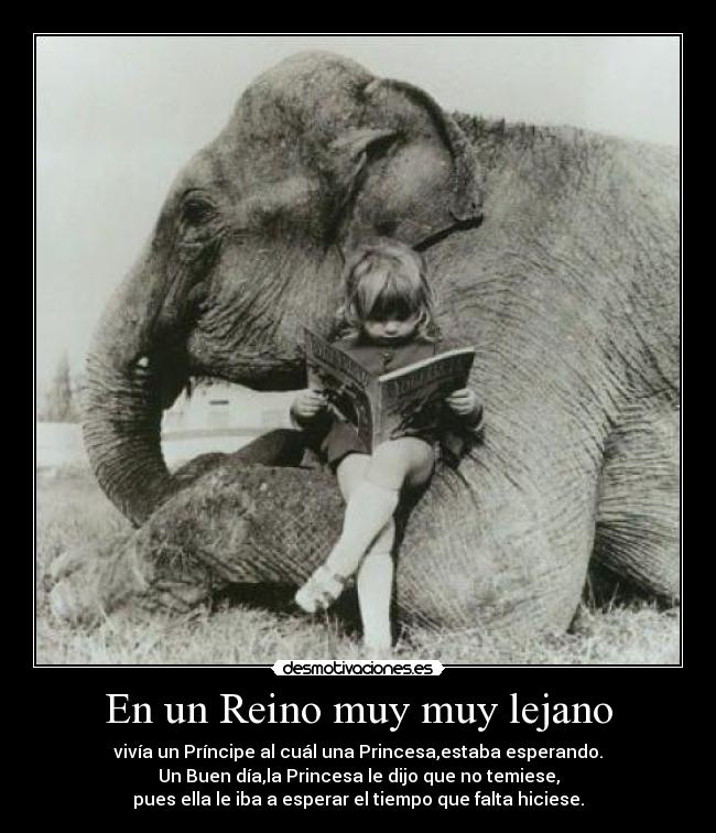 En un Reino muy muy lejano - 