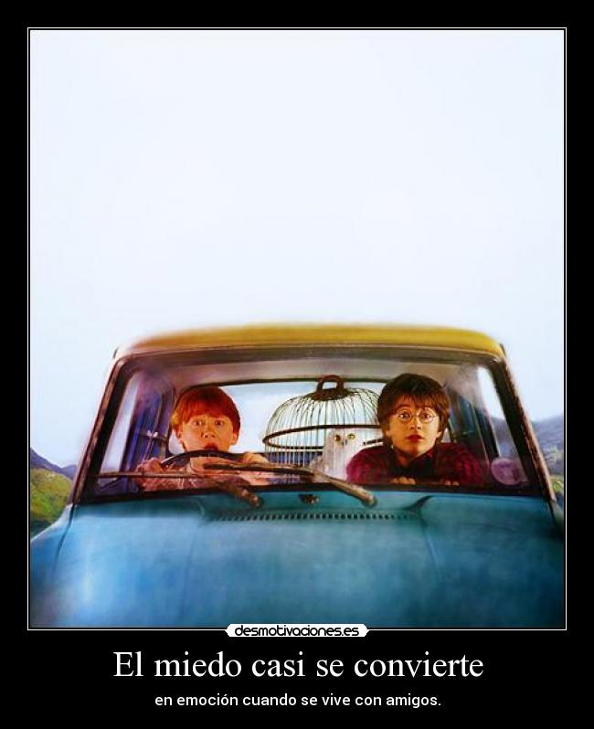 El miedo casi se convierte - en emoción cuando se vive con amigos.