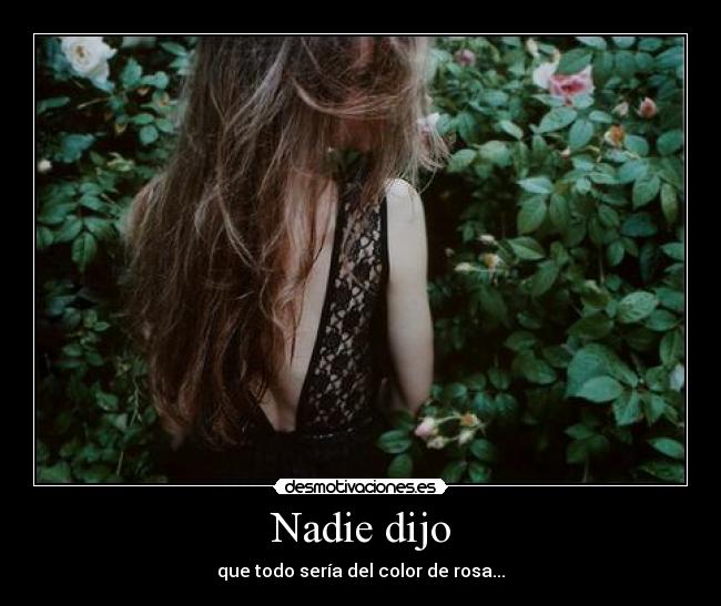 Nadie dijo -