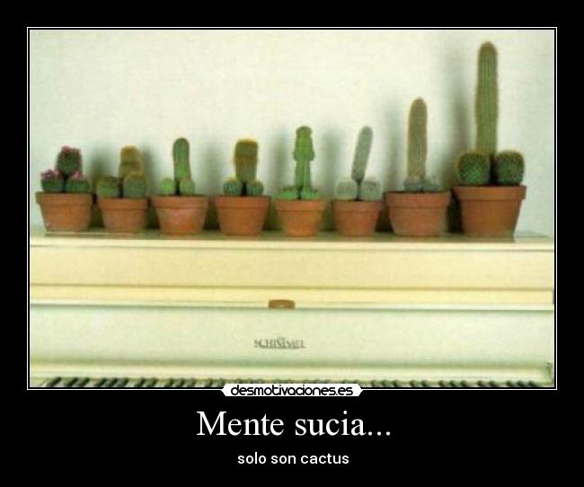 Mente sucia... - solo son cactus