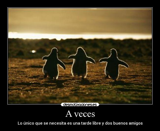 A veces - Lo único que se necesita es una tarde libre y dos buenos amigos