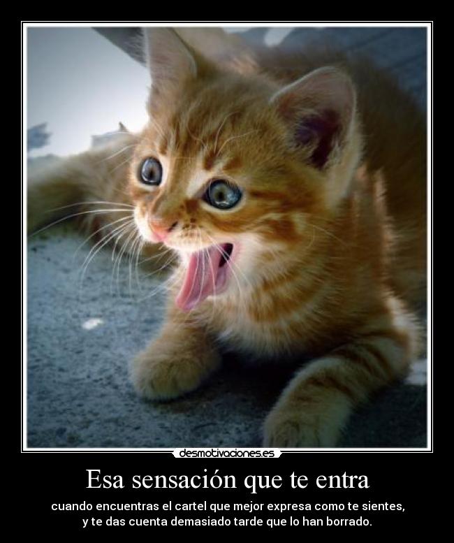 Esa sensación que te entra - cuando encuentras el cartel que mejor expresa como te sientes,
y te das cuenta demasiado tarde que lo han borrado.