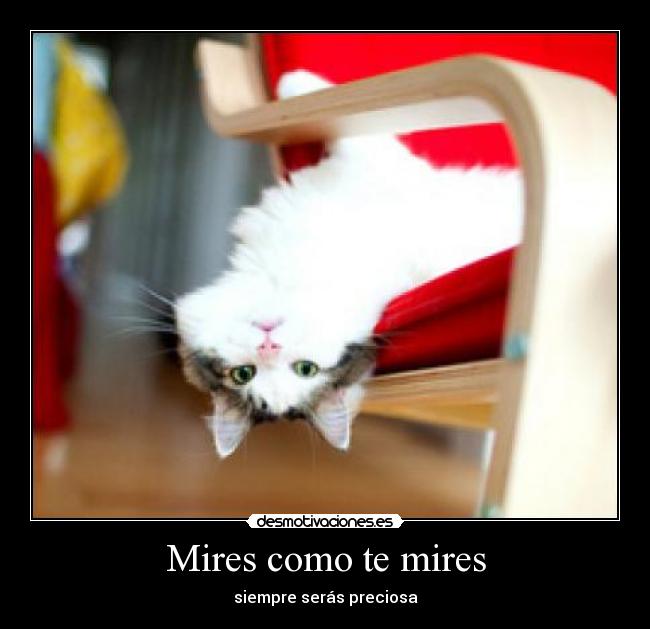 Mires como te mires - 